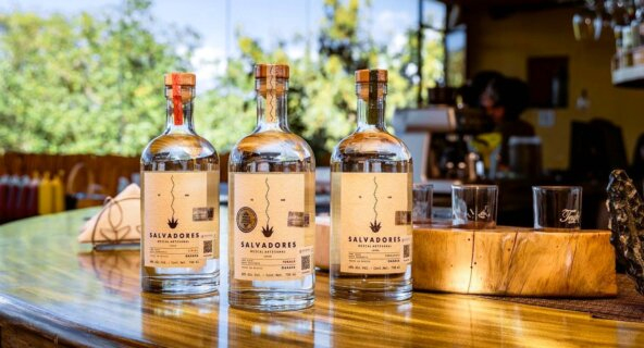 UNIEKE SELECTIES VAN MEZCAL